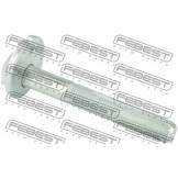 Болт эксцентрик NISSAN PATROL/INFINITI QX80/QX56 10- FEBEST 0229008 0229008