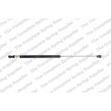 Амортизатор крышки багажника Nissan Qashqai J10E LESJOFORS 8162047 8162047