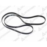 Ремень приводной MITSUBOSHI 6PK2245 Nissan QR20DE-QR25DE 6PK2245