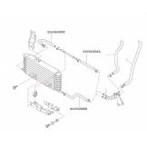 Шланг MCVT (правый короткий) Nissan T31 21633JG000