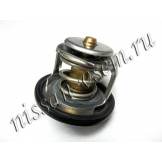 Термостат Nissan Almera N16 / Nissan Primera P12 (QG15DE/QG18DE) 212004M500